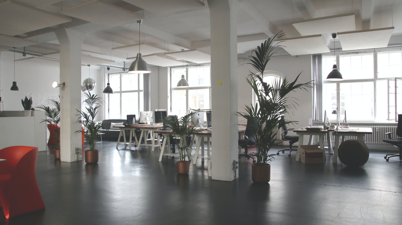 office with plants