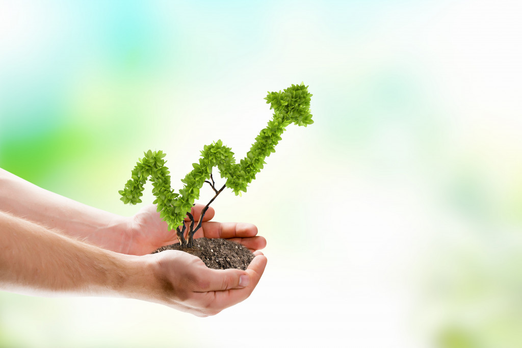 Hand holding a plant with an arrow shape, concept of investing money